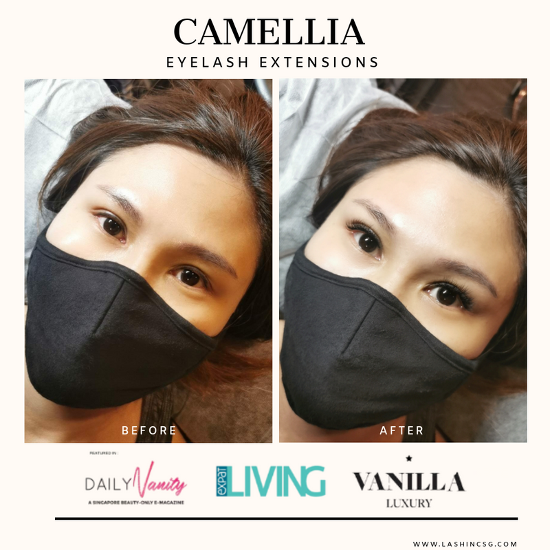 Camellia 6D Volume Lash Extensions Singapore Lash Inc Sg