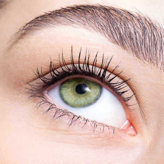 What's The Difference Between Lash Lift and Tint vs Eyelash Extensions?