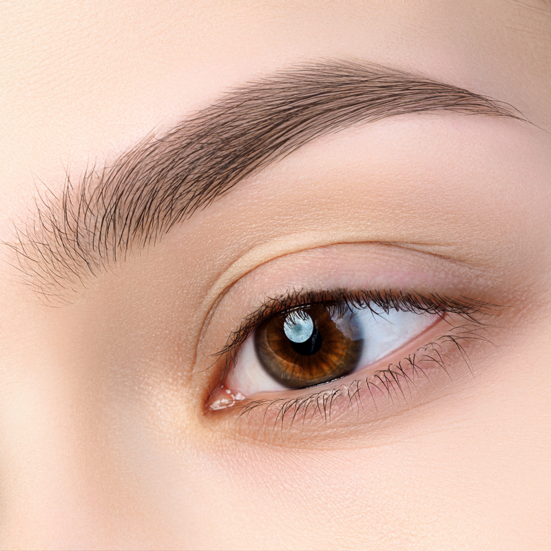 Eyebrow Embroidery 101: A Comprehensive Guide to Effortlessly Perfect Brows